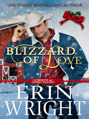 cover image of Blizzard of Love